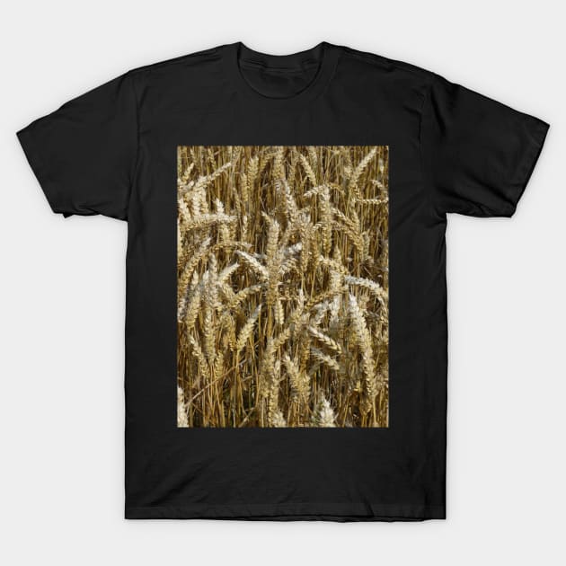 A Loaf Of Bread T-Shirt by acespace